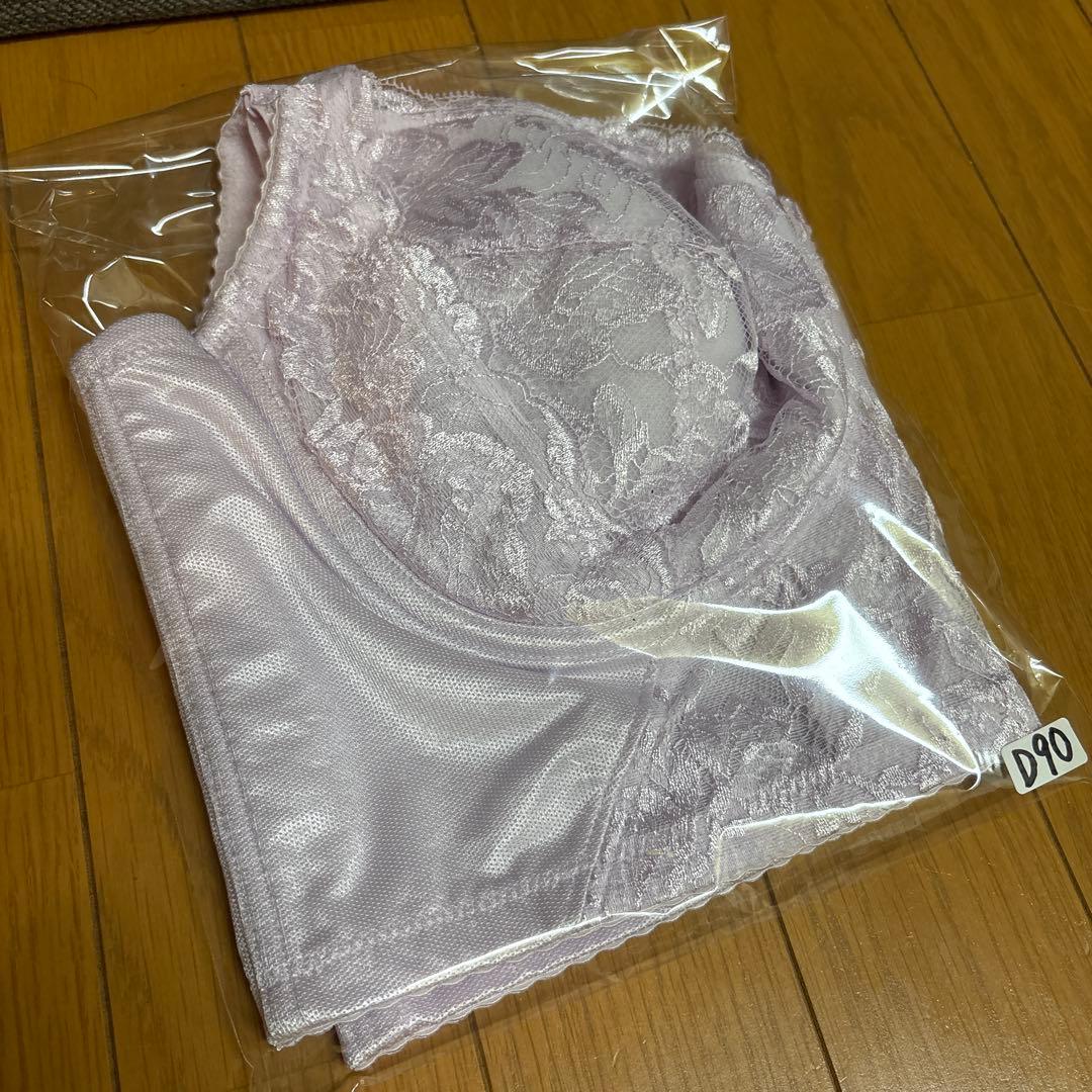 シャンデール ロングブラジャー ピンク D90