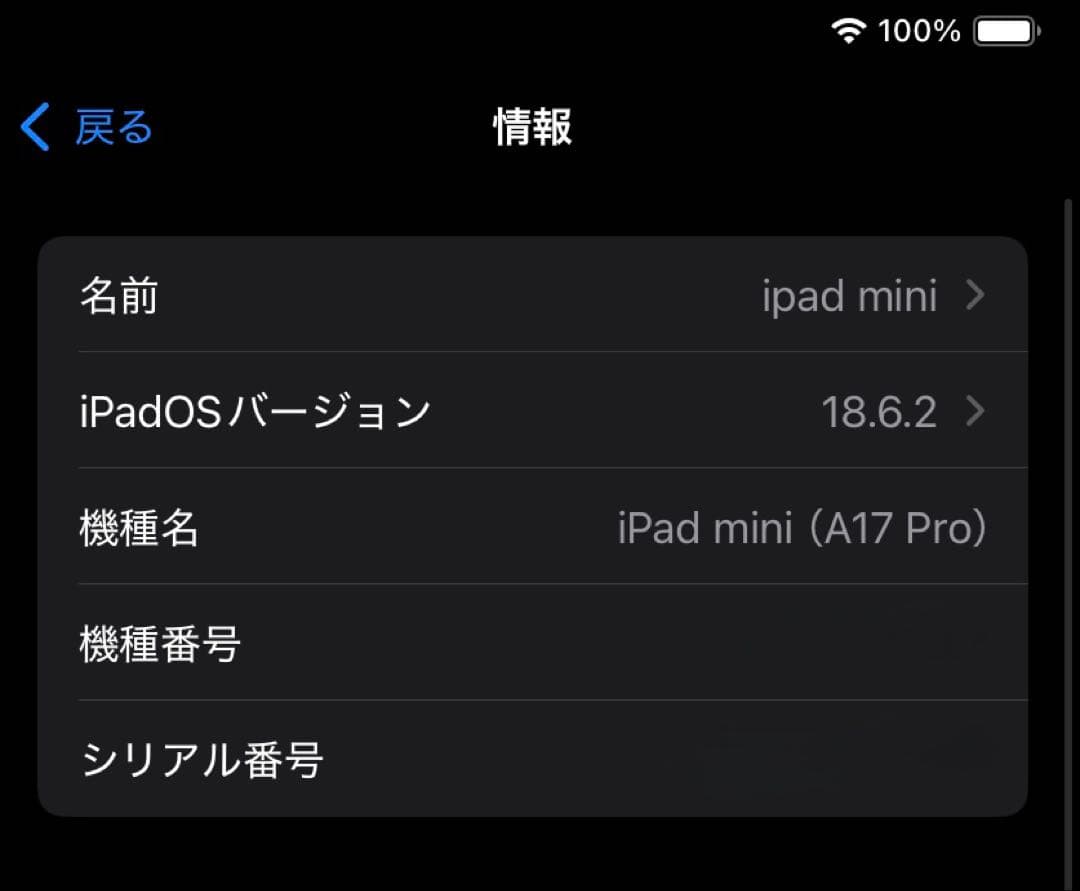 iPad本体 Apple iPad mini A17 Pro 256GB Cellular