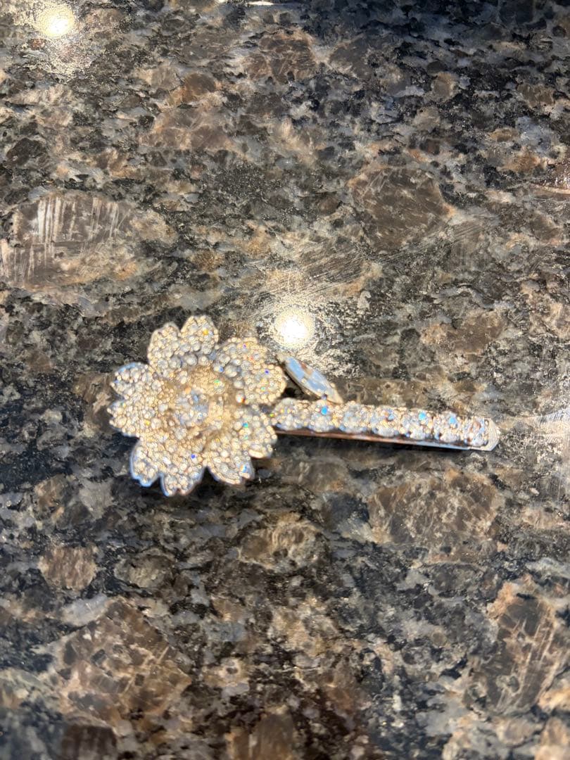 美品　ロジェヴィヴィエ　ヘアクリップ