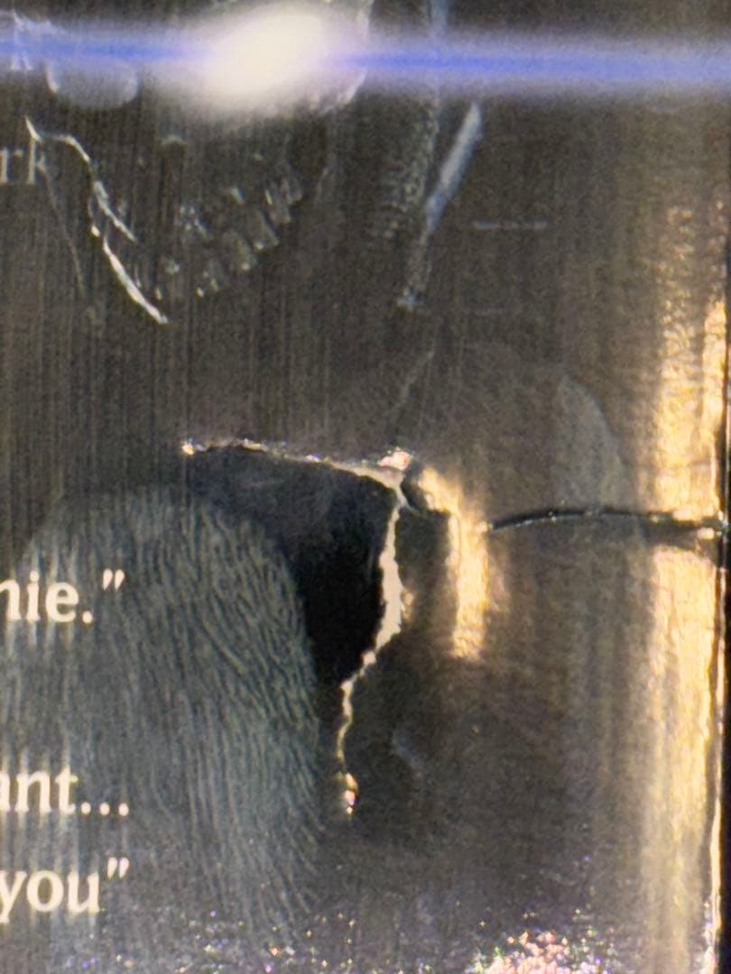 NECA 12\"トーキング ドニーダーコ Donnie Darko