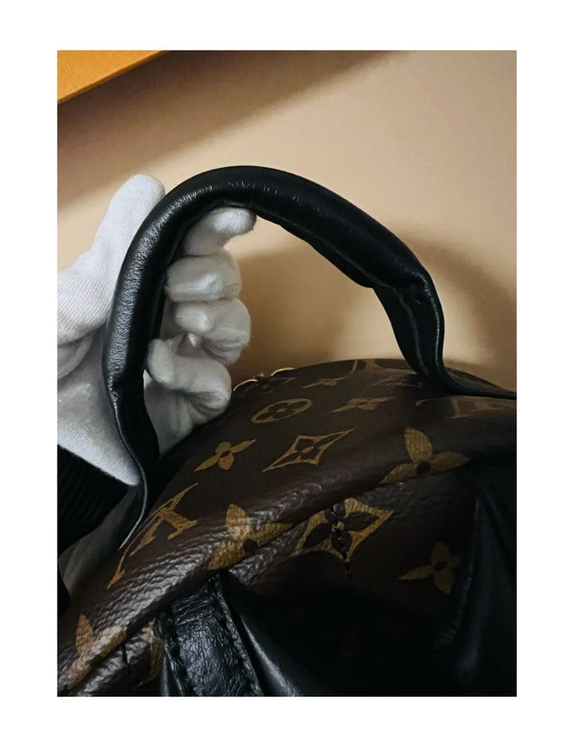 Sho様 Louis Vuitton パームスプリングス バックパック MM