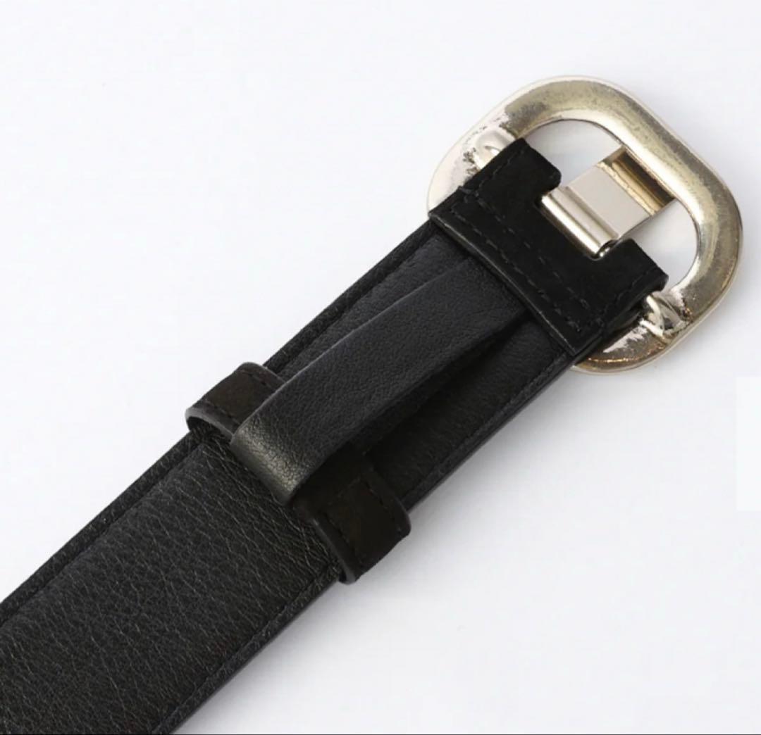 SHISHIKUI シシクイ スエードベルト S