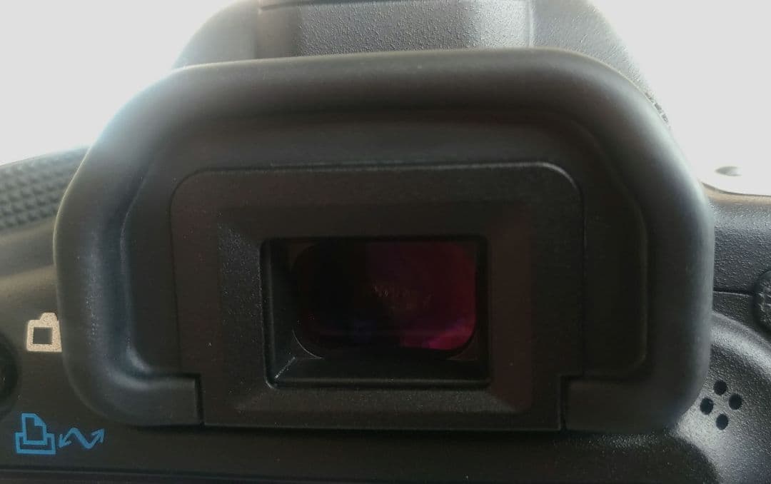 Canon EOS 5D Mark II　レンズ付き　シャッター回数少なめ！美品