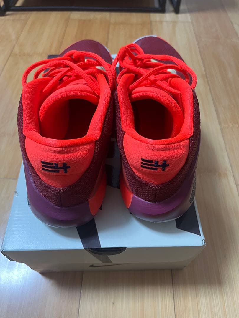 NIKE Zoom Freak1 バスケットボールシューズ