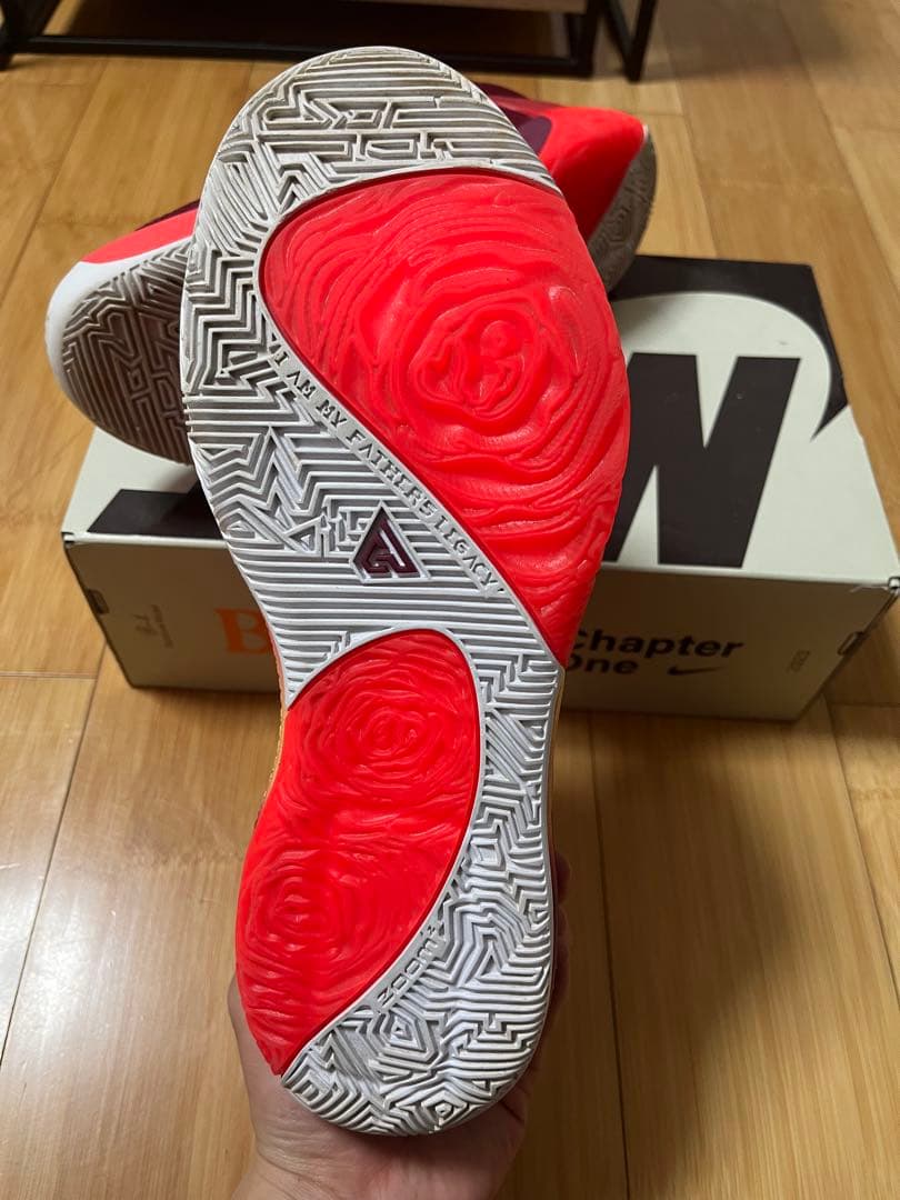 NIKE Zoom Freak1 バスケットボールシューズ