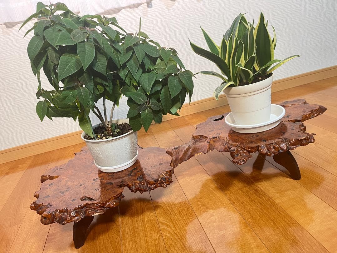 【天然一枚板】飾り台 盆栽台 花瓶台 座卓 足付き 大型 希少【光沢仕上げ】