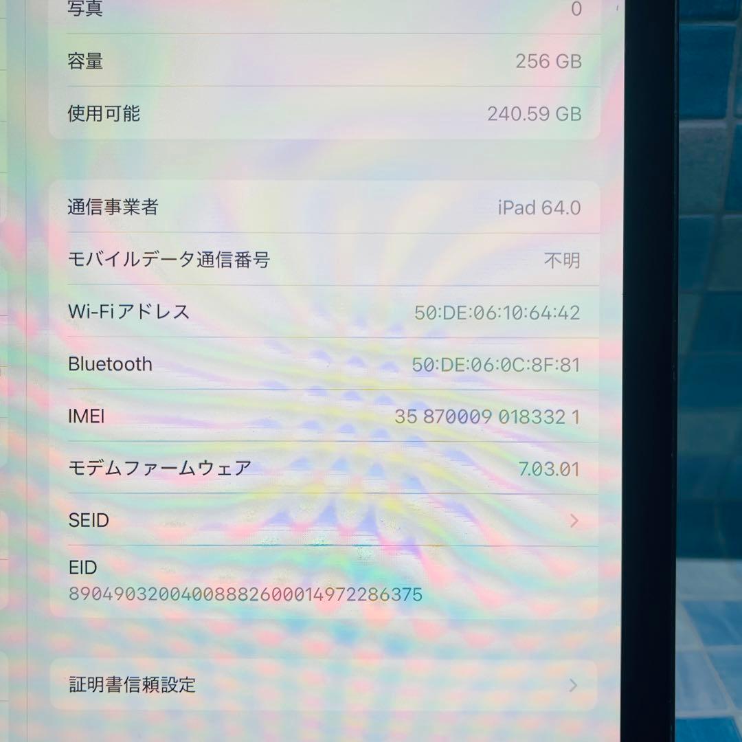 SIMフリー iPad Pro 第1世代 本体 256GB スペースグレイ