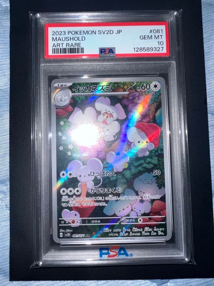 イッカネズミ AR PSA10