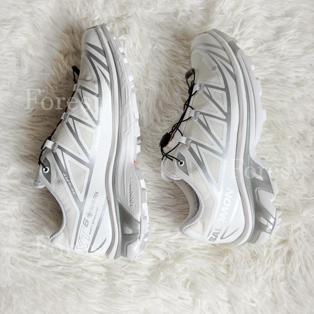 SALOMON XT-6 GTX　25.5