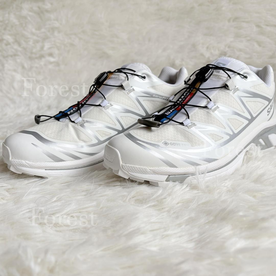 SALOMON XT-6 GTX　25.5