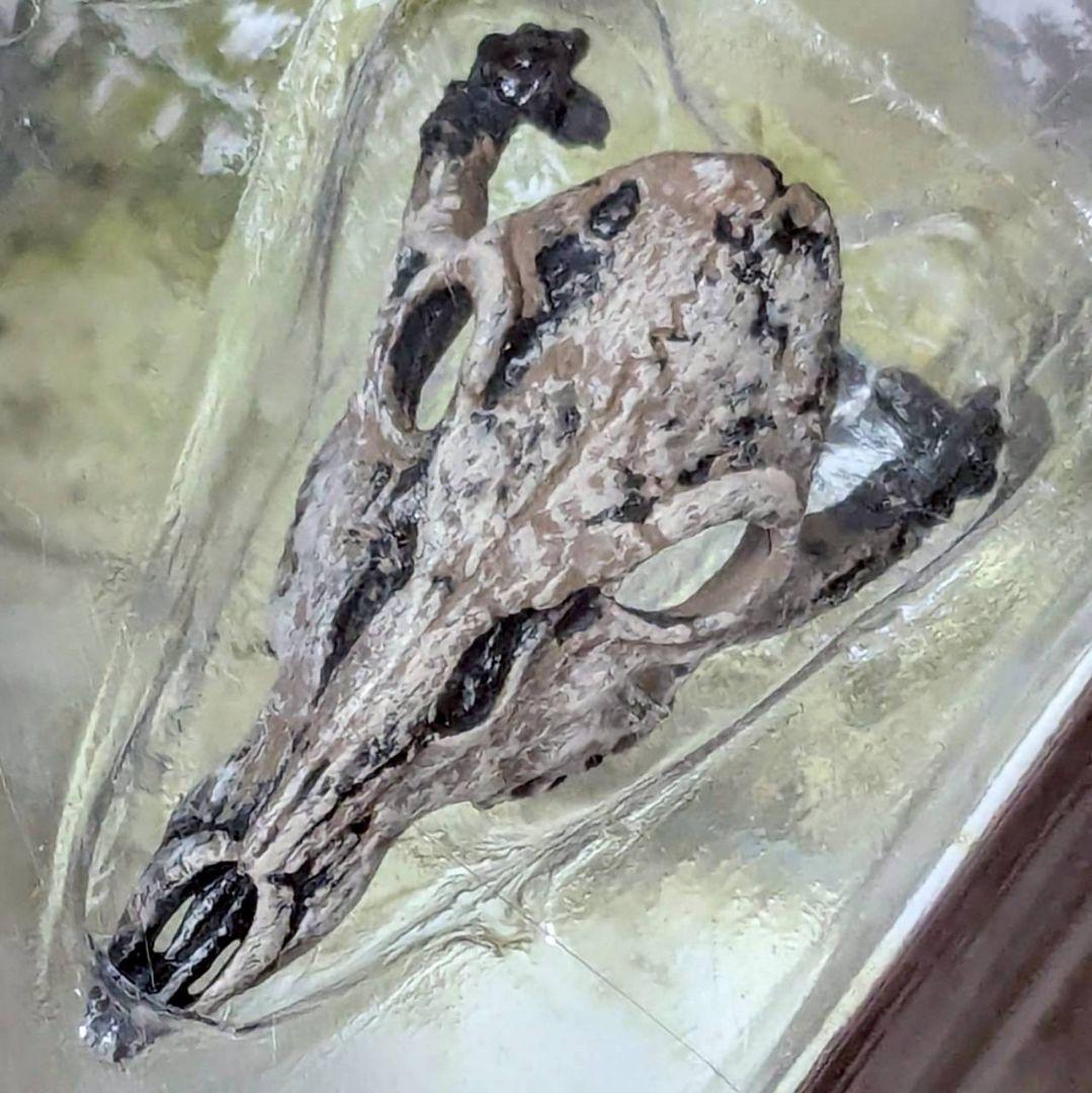 the VIKING AGE　スポーン22　3種　マクファーレン　バルキリー　他