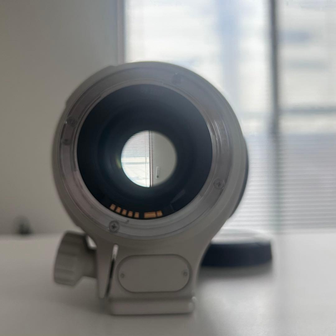 EF35-350mm F3.5-5.6L USM ズームレンズ