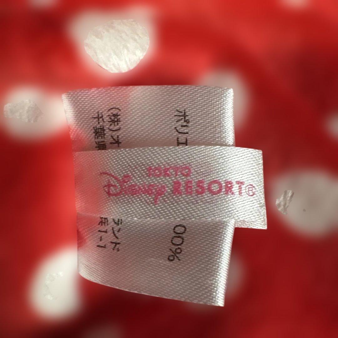 Disney ディズニー　ミニー　ファンキャップ　帽子　手袋・マフラー付き