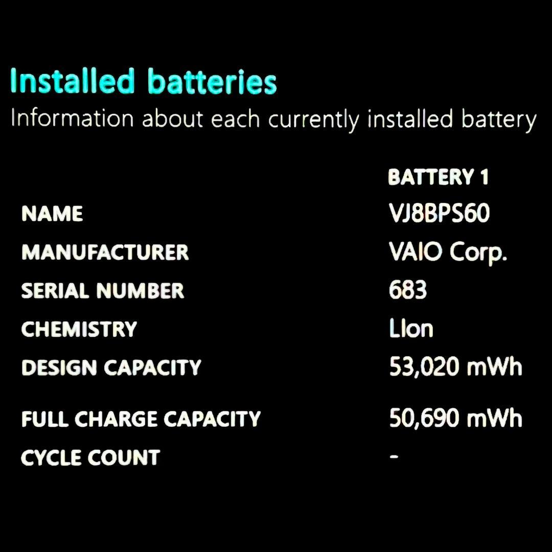 GKGN！【 VAIO Pro PK 】