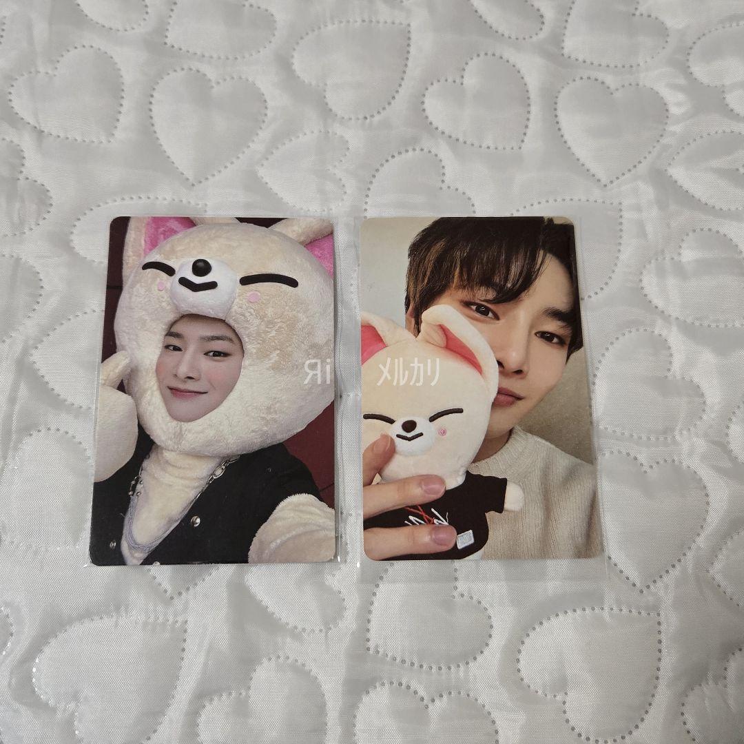 スキズ skzoo アイエン フォクシニー セット