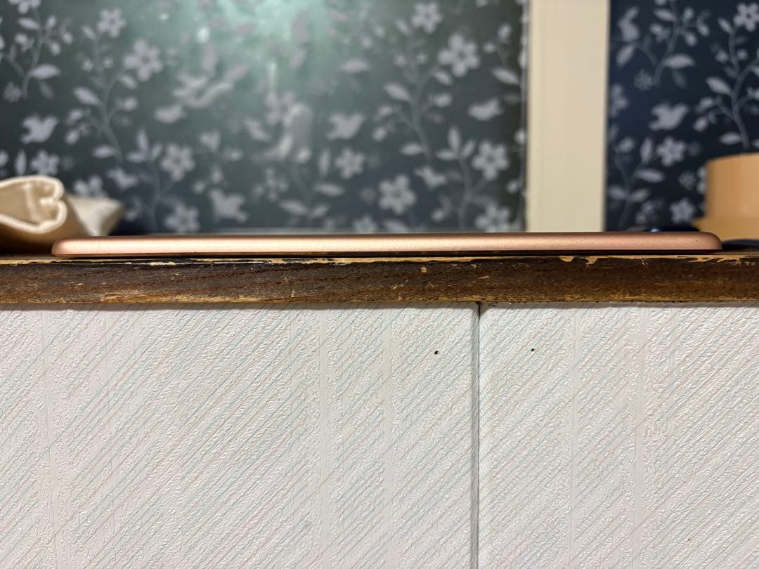 iPad本体 iPad mini5 WiFi Cellular