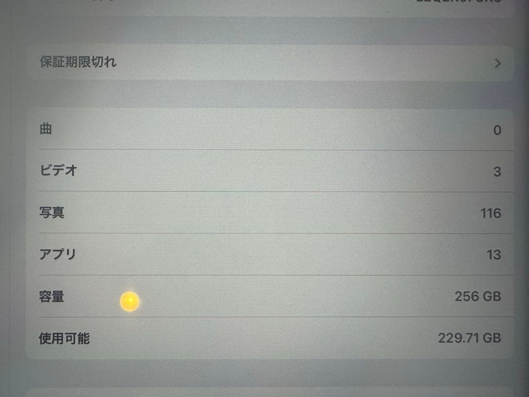 iPadpro 第6世代　12.9インチ　256GB