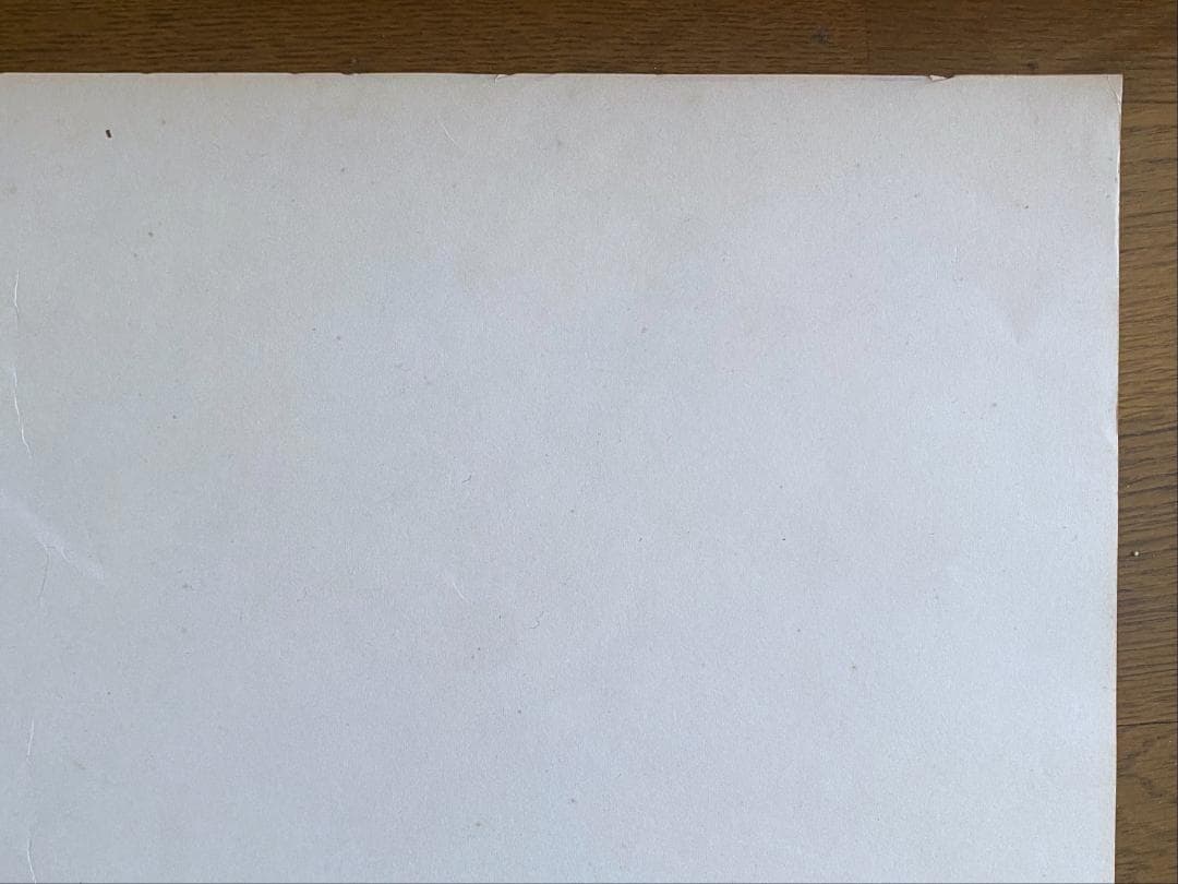 レ*オ様 横尾忠則　ポスター「AMAZON、アマゾン」 1989年