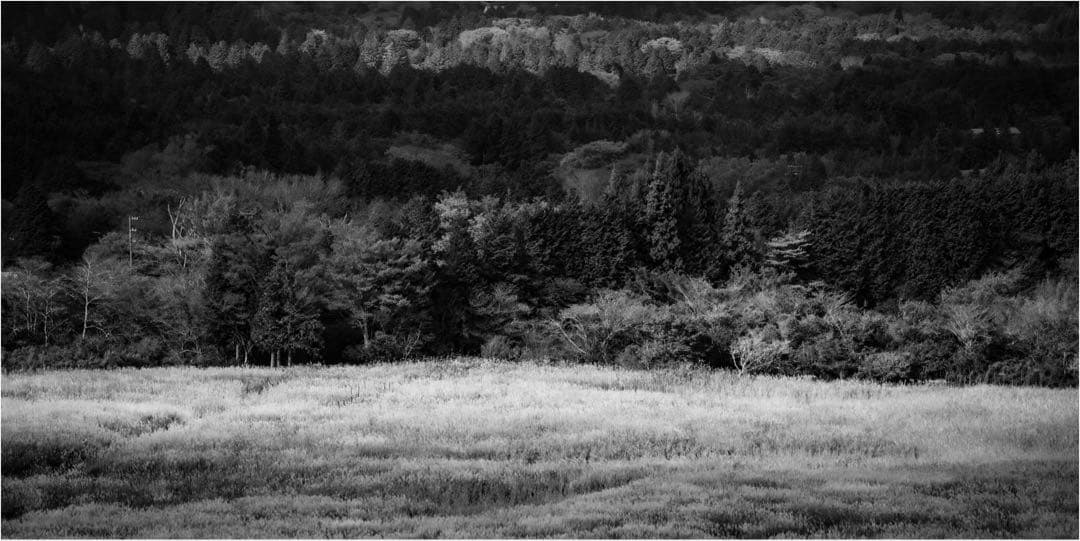 SONY A7R II モノクロ専用機＋レンズセット モノクローム