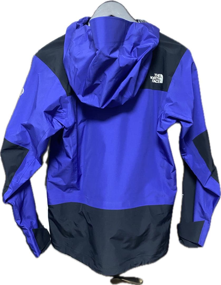THE NORTH FACE ザ・ノースフェイス GTX Pro Jacket