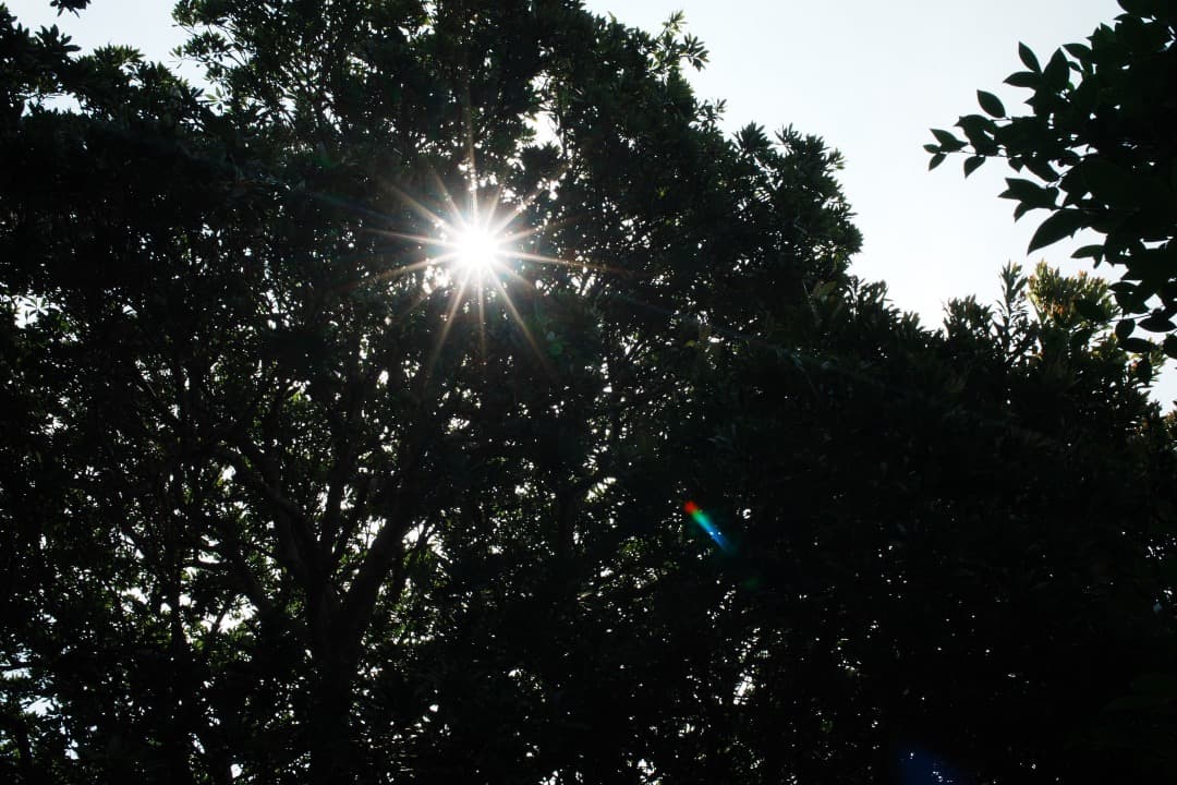 【極美品】動作◎ ニコン Ai-s Nikkor 35mm F2.8 063