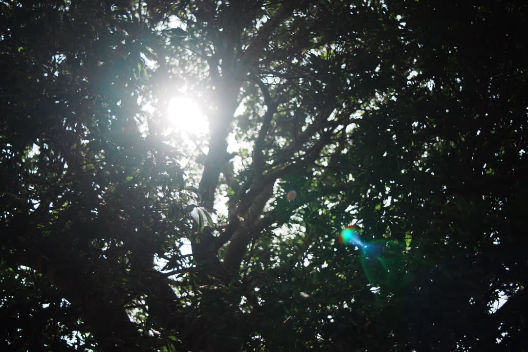 【極美品】動作◎ ニコン Ai-s Nikkor 35mm F2.8 063