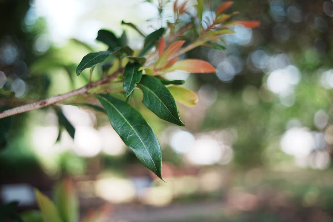 【極美品】動作◎ ニコン Ai-s Nikkor 35mm F2.8 063