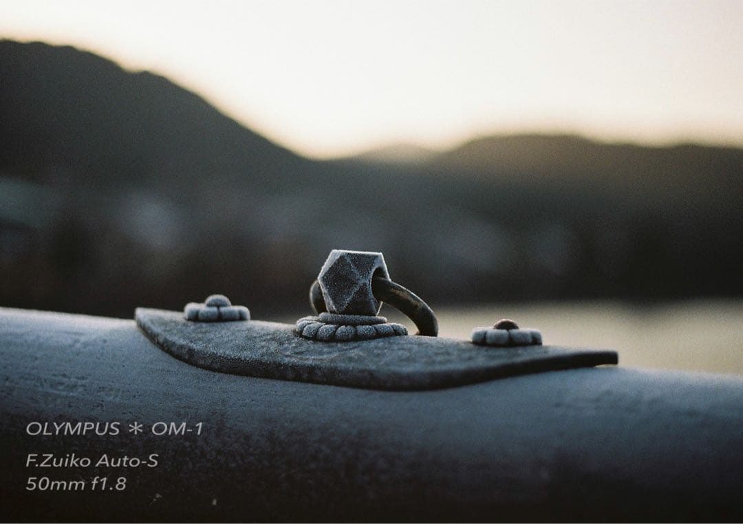 ギブリ！完動品＊初期保証！★オリンパスOM-1★フィルム入門に★作例多数