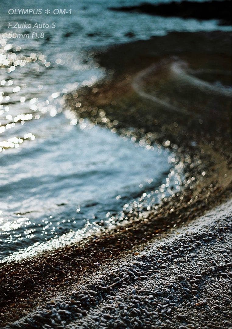 ギブリ！完動品＊初期保証！★オリンパスOM-1★フィルム入門に★作例多数