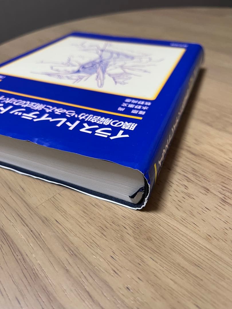 【絶版】イラストレイテッド外科学手術 第3版