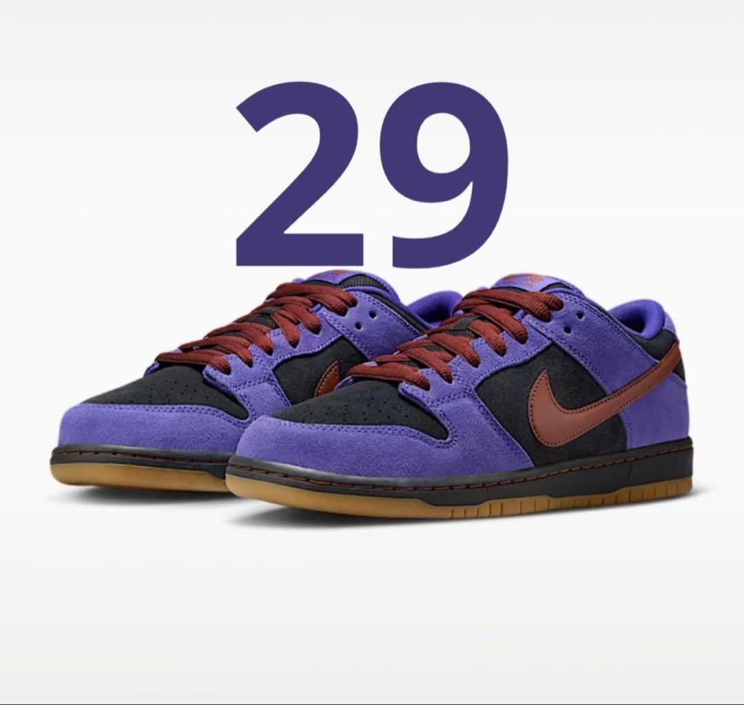 靴 Nike Dunk Low SB pa11