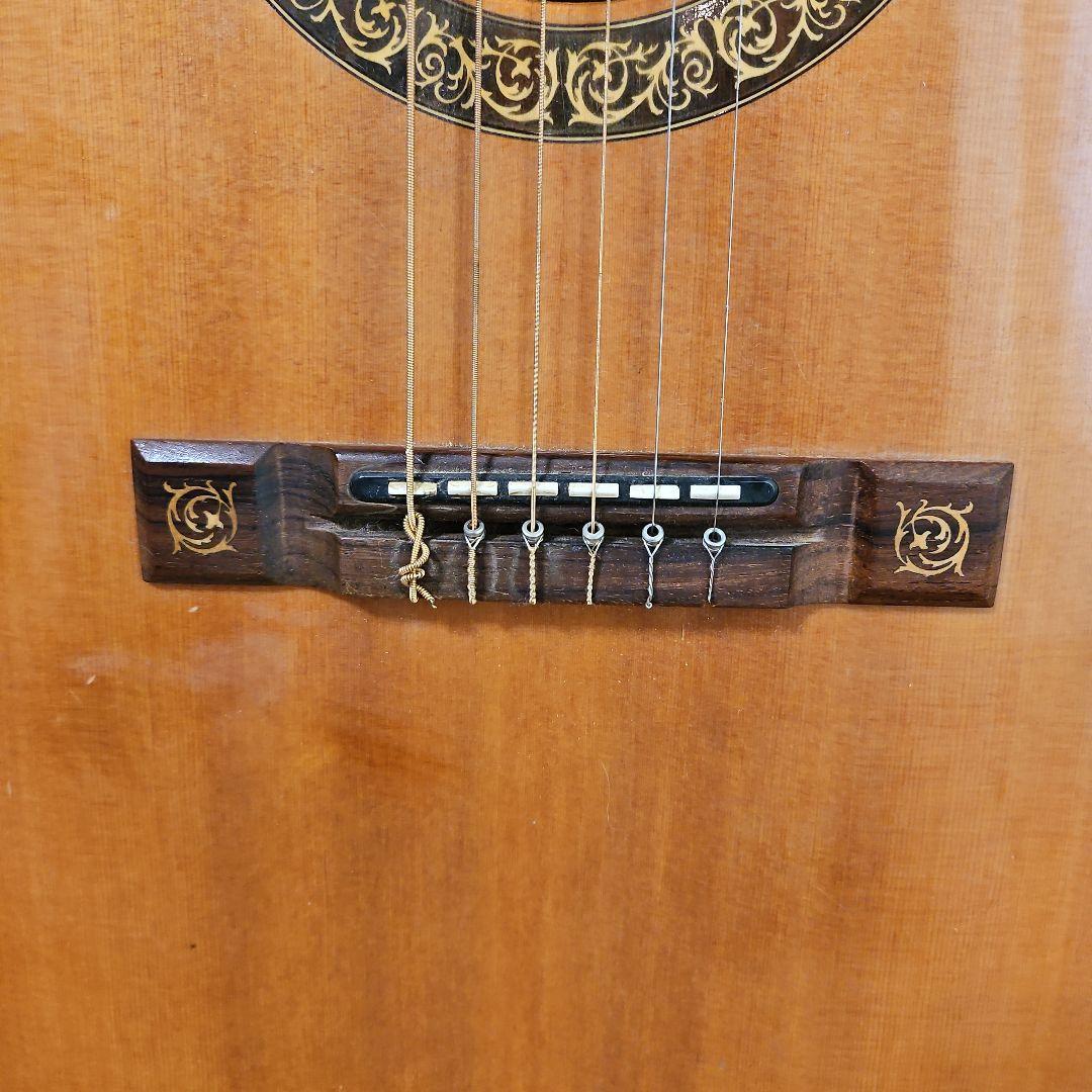 【エレアコ】The Sandpiper Deluxe アコースティックギターです