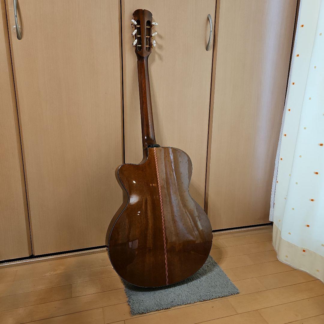 【エレアコ】The Sandpiper Deluxe アコースティックギターです
