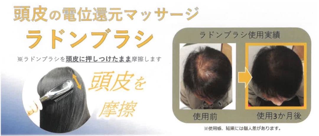 エナジーラドン　シャンプーブラシ　マイナスイオン発生