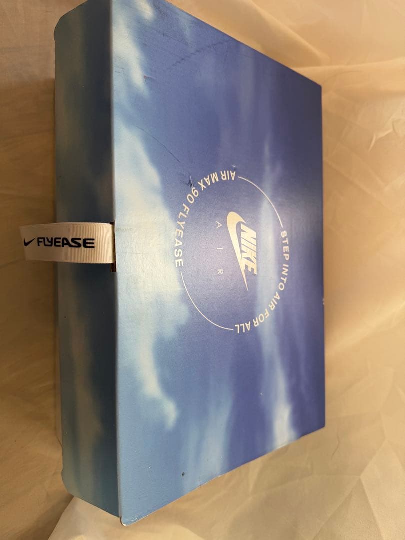 ⭐︎海外限定発売色⭐︎Nike Air Max 90 FLYEASE