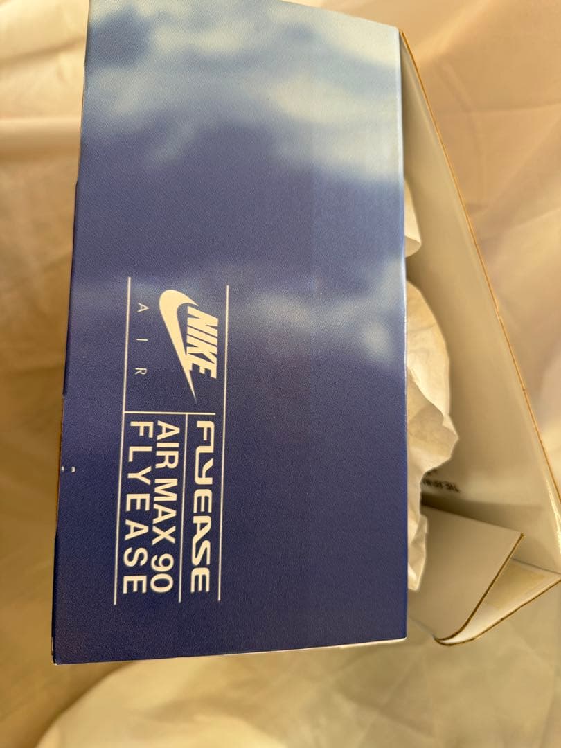 ⭐︎海外限定発売色⭐︎Nike Air Max 90 FLYEASE