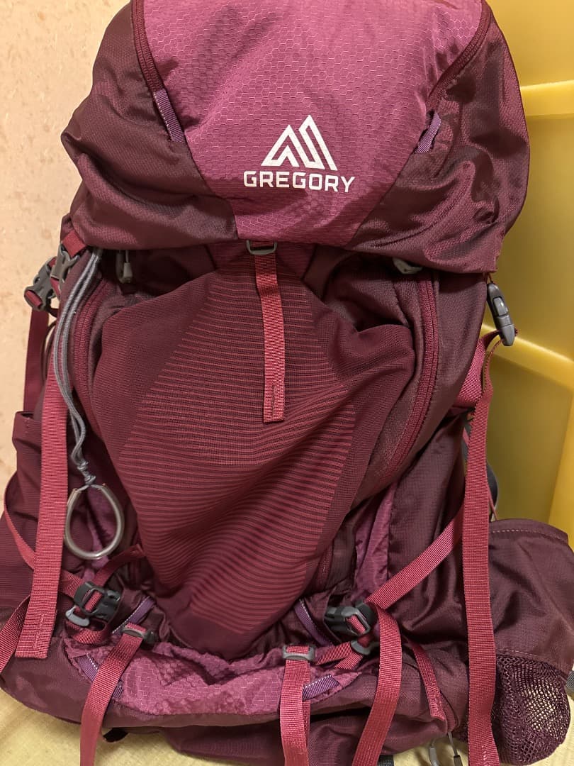 GREGORY DEVA 60 バックパック バーガンディ