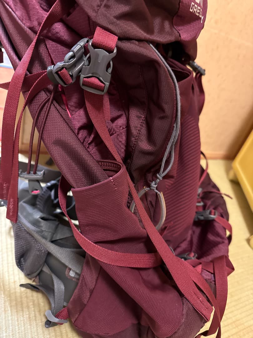 GREGORY DEVA 60 バックパック バーガンディ
