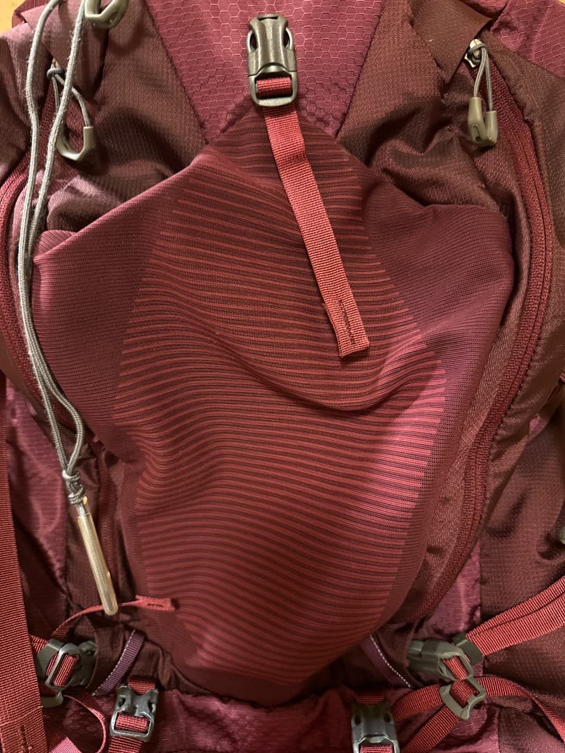 GREGORY DEVA 60 バックパック バーガンディ
