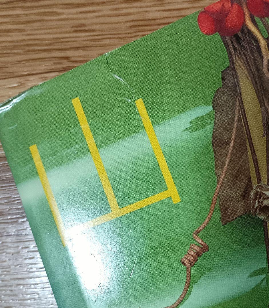 山上るい 布花・花の贈りもの・山の花 山の実・野の花 野の草 5冊セット