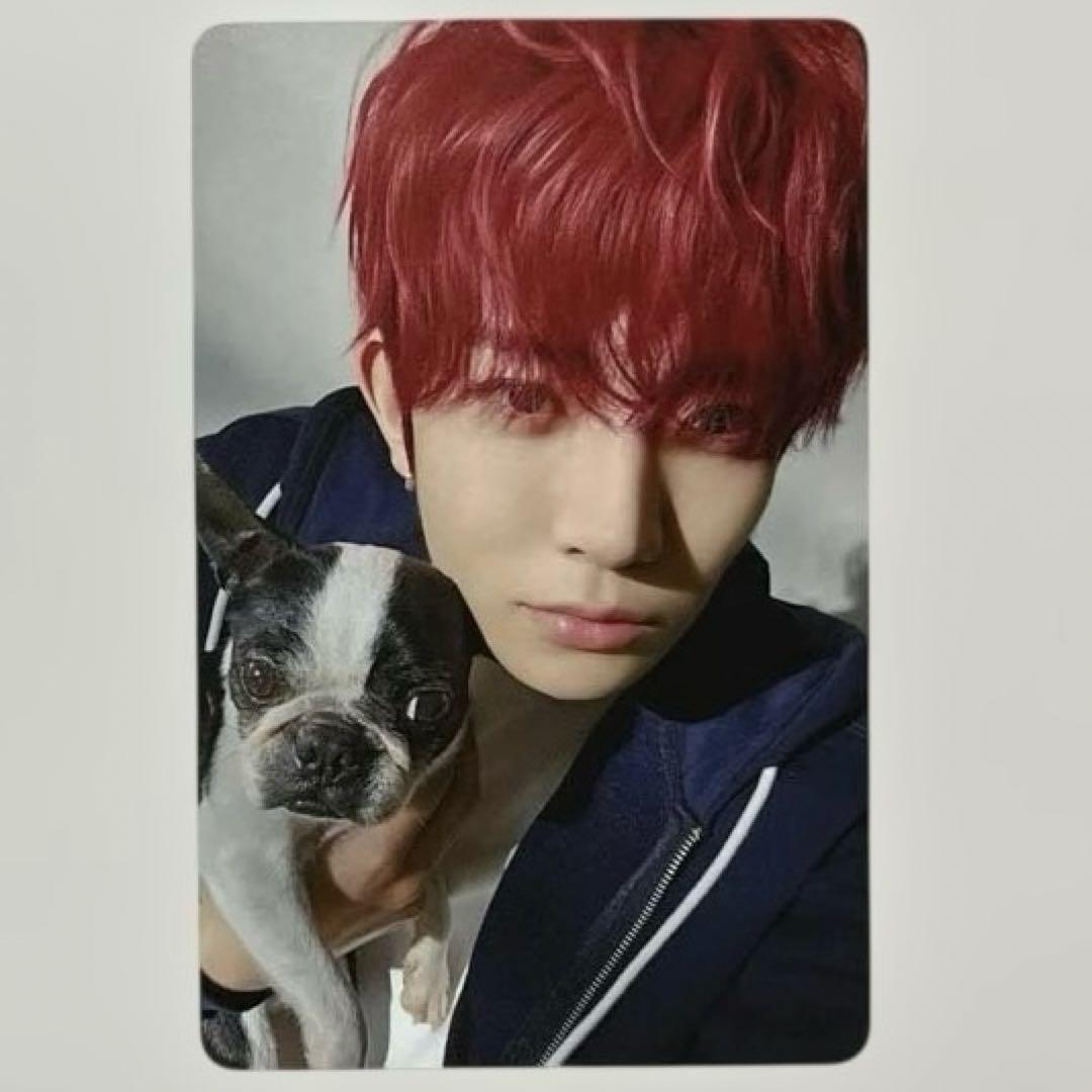 ENHYPEN　アンケート　トレカ　ヒスン　2025