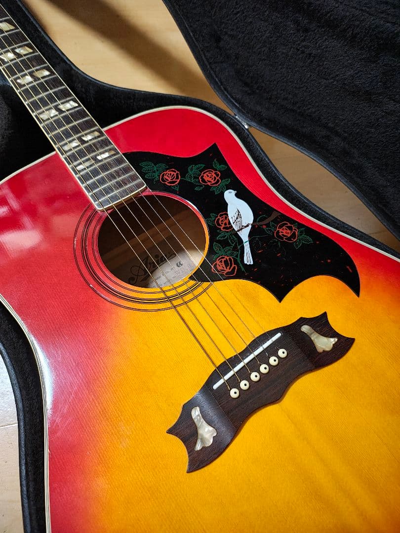 Aria DOVE CUSTOM WD-30/美品