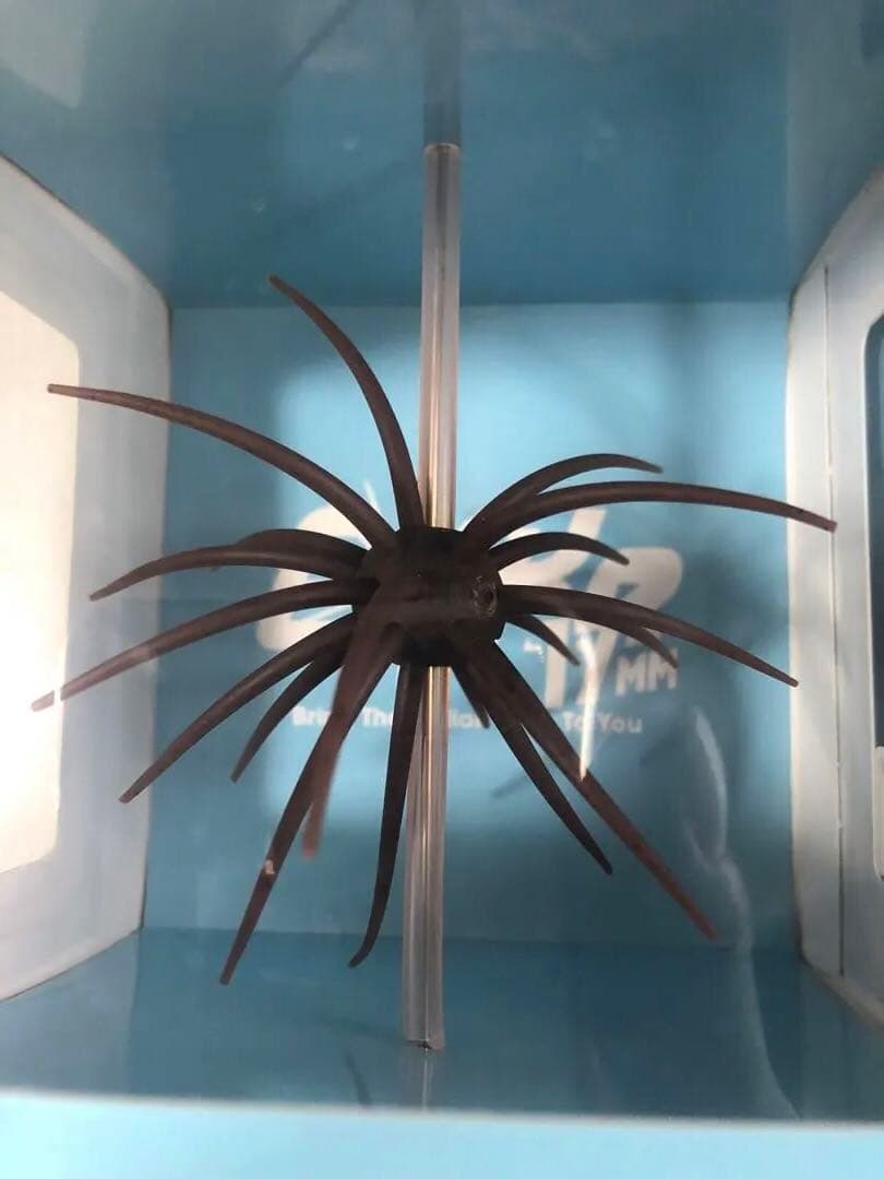 ハイドアップ　コイケ17mm ６個セット（箱のまま発送）