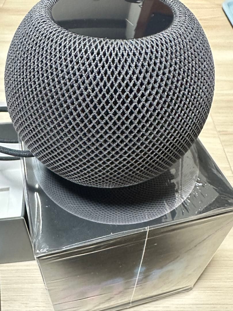 Apple  pod mini スペースグレイ