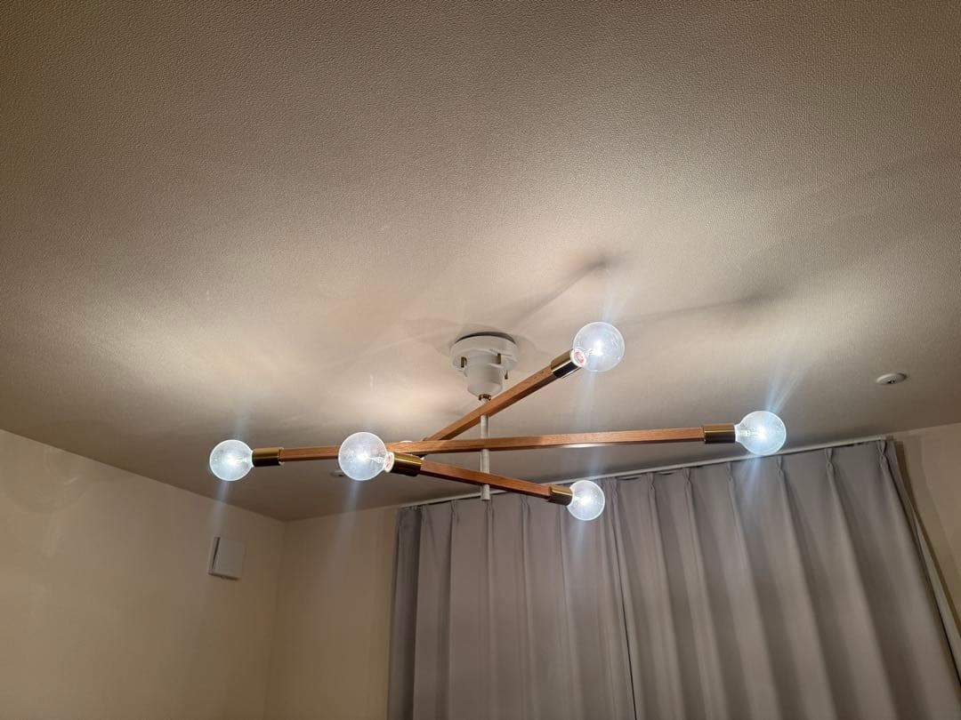 Astre baum 電球付