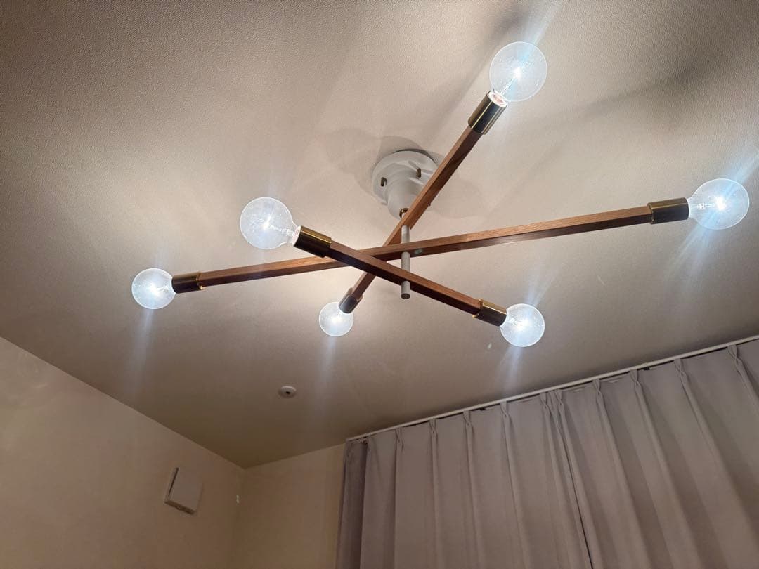 Astre baum 電球付