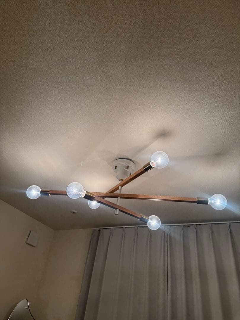 Astre baum 電球付