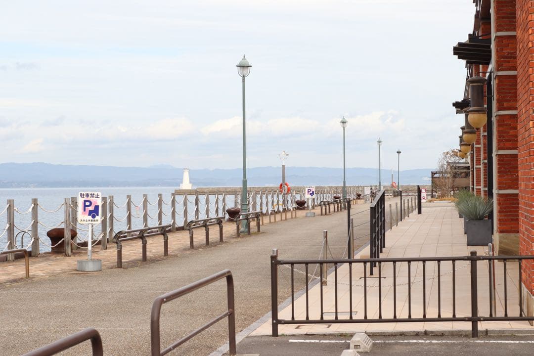 ★ OLYMPUS OM-1 (革ケース付)+ ★ 標準レンズ 50mm