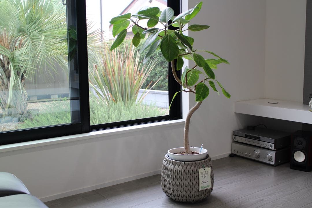 Canon EOS M2 ミラーレスカメラ 本体とレンズセット