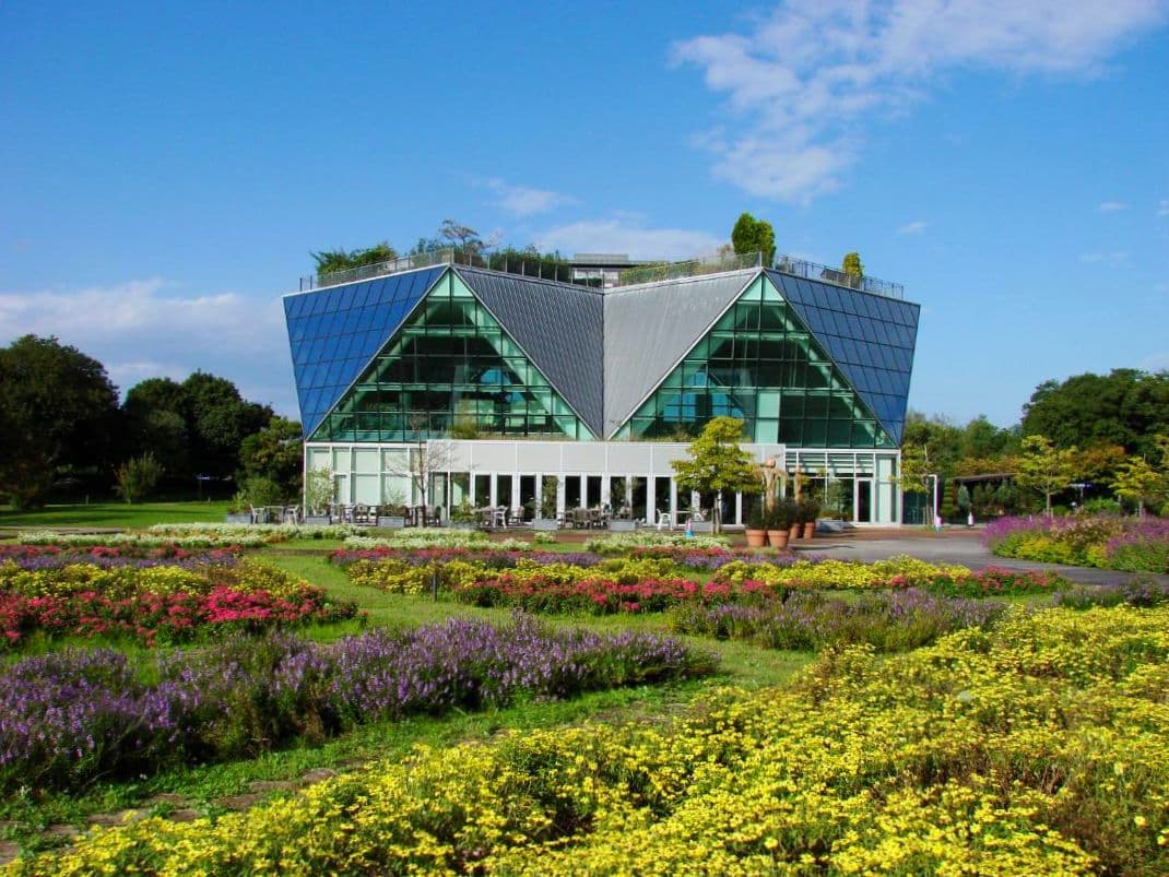 SONY サイバーショット DSC-H5